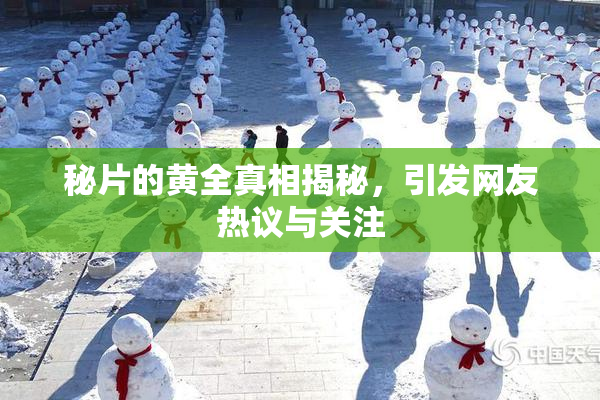 秘片的黄全真相揭秘，引发网友热议与关注