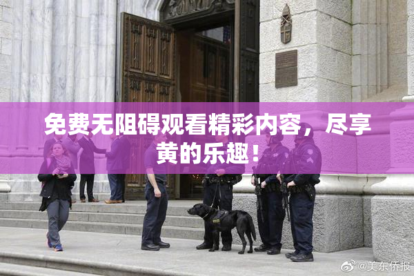 免费无阻碍观看精彩内容，尽享黄的乐趣！