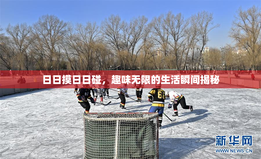 日日摸日日碰，趣味无限的生活瞬间揭秘