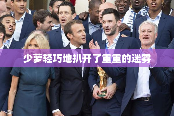 少萝轻巧地扒开了重重的迷雾