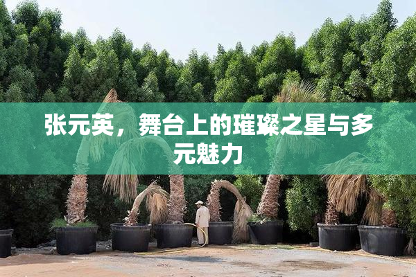 张元英，舞台上的璀璨之星与多元魅力