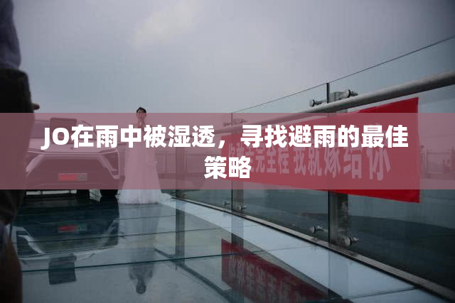 JO在雨中被湿透，寻找避雨的最佳策略