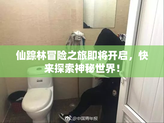 仙踪林冒险之旅即将开启，快来探索神秘世界！