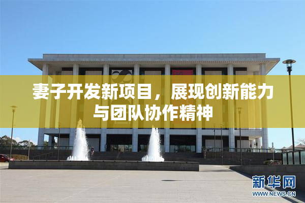 妻子开发新项目，展现创新能力与团队协作精神