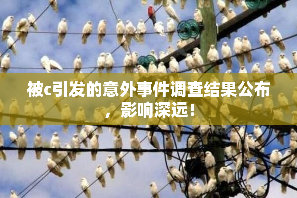 被c引发的意外事件调查结果公布，影响深远！