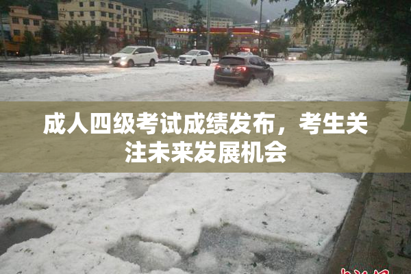 成人四级考试成绩发布，考生关注未来发展机会