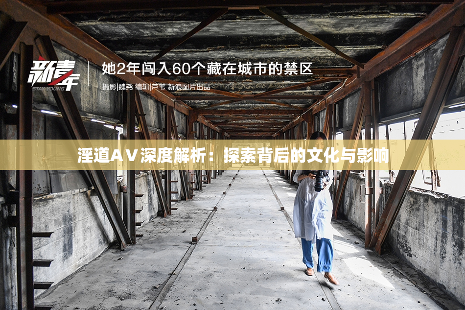 淫道AⅤ深度解析：探索背后的文化与影响