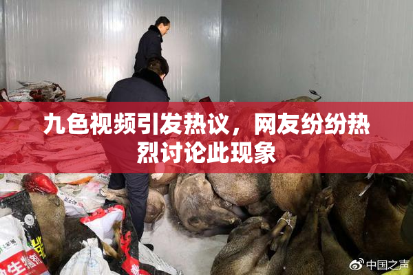 九色视频引发热议，网友纷纷热烈讨论此现象