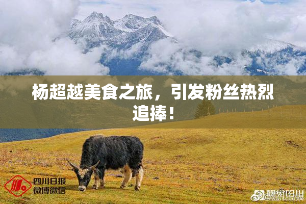杨超越美食之旅，引发粉丝热烈追捧！