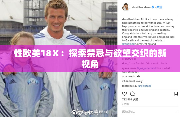 性欧美18Ⅹ：探索禁忌与欲望交织的新视角