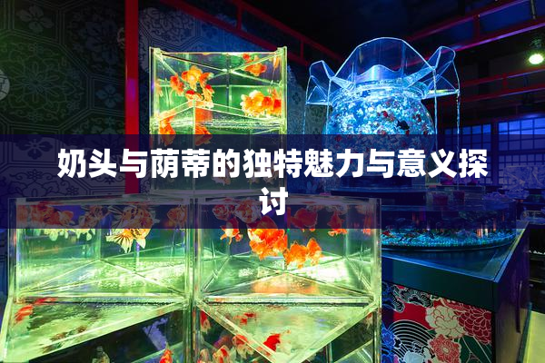 奶头与荫蒂的独特魅力与意义探讨