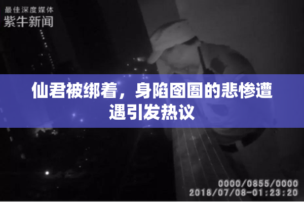 仙君被绑着，身陷囹圄的悲惨遭遇引发热议