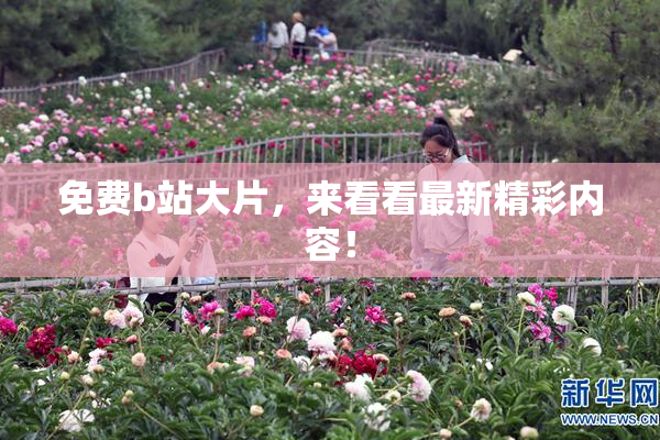 免费b站大片，来看看最新精彩内容！