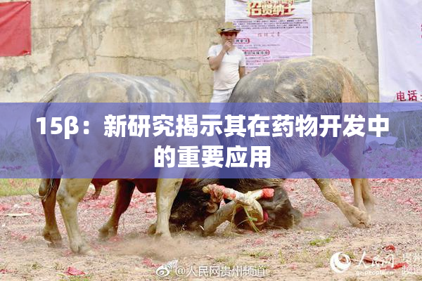 15β：新研究揭示其在药物开发中的重要应用