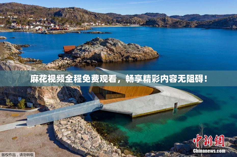 麻花视频全程免费观看，畅享精彩内容无阻碍！