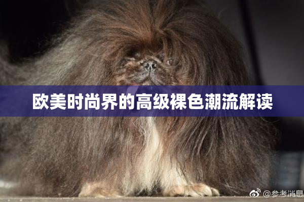 欧美时尚界的高级裸色潮流解读