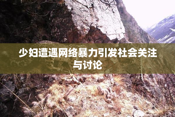 少妇遭遇网络暴力引发社会关注与讨论