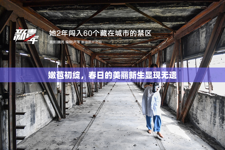 嫩苞初绽，春日的美丽新生显现无遗
