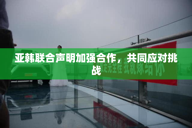 亚韩联合声明加强合作，共同应对挑战