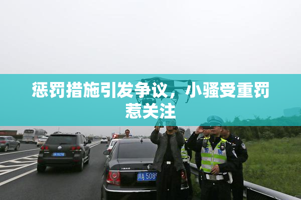 惩罚措施引发争议，小骚受重罚惹关注