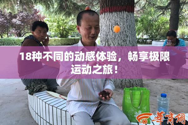 18种不同的动感体验，畅享极限运动之旅！