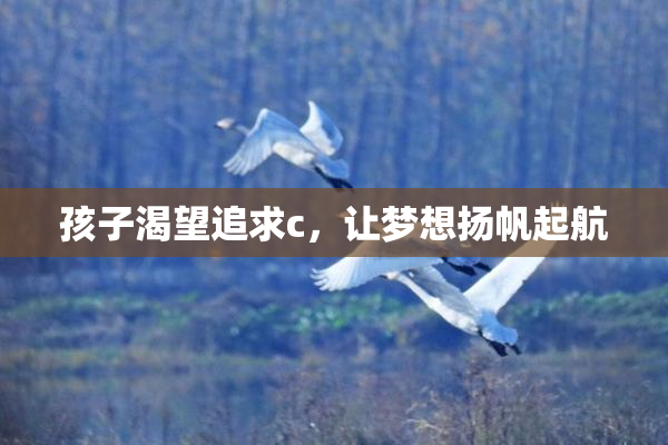 孩子渴望追求c，让梦想扬帆起航