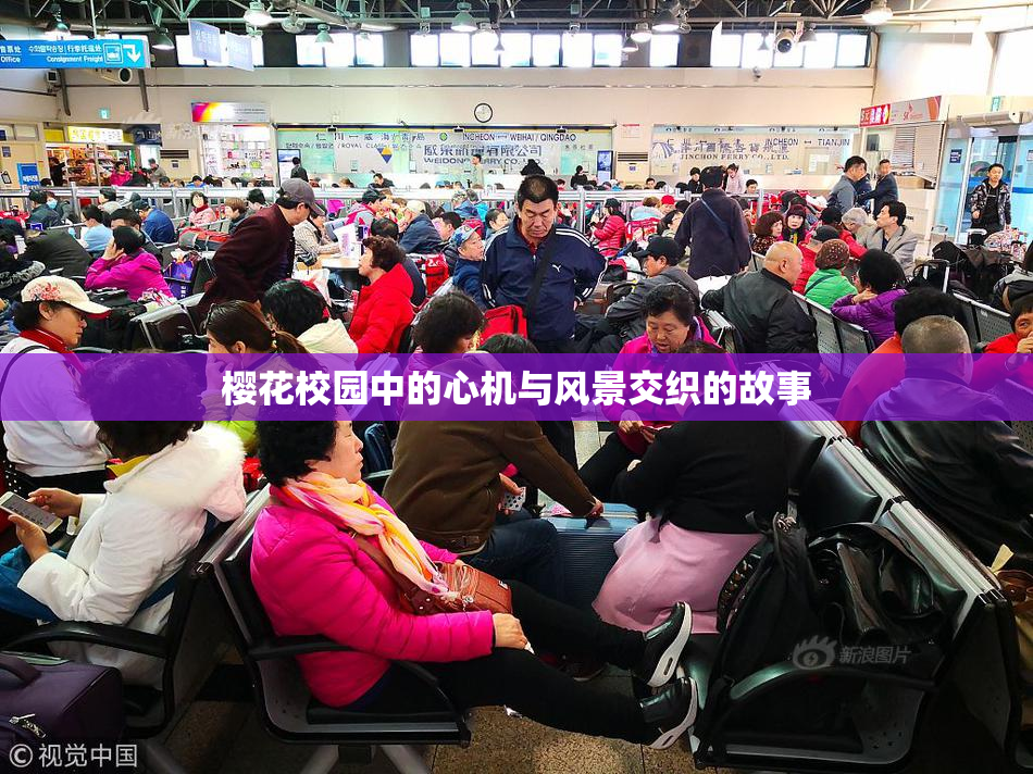 樱花校园中的心机与风景交织的故事