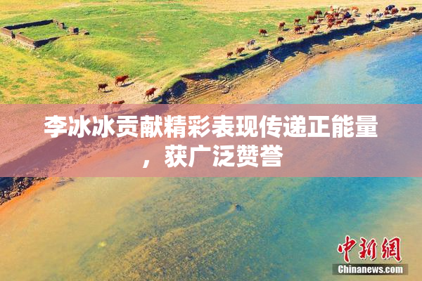 李冰冰贡献精彩表现传递正能量，获广泛赞誉