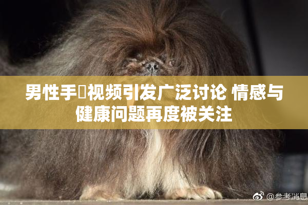 男性手婬视频引发广泛讨论 情感与健康问题再度被关注