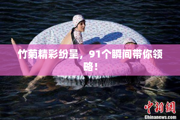 竹菊精彩纷呈，91个瞬间带你领略！