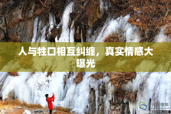 人与牲口相互纠缠，真实情感大曝光