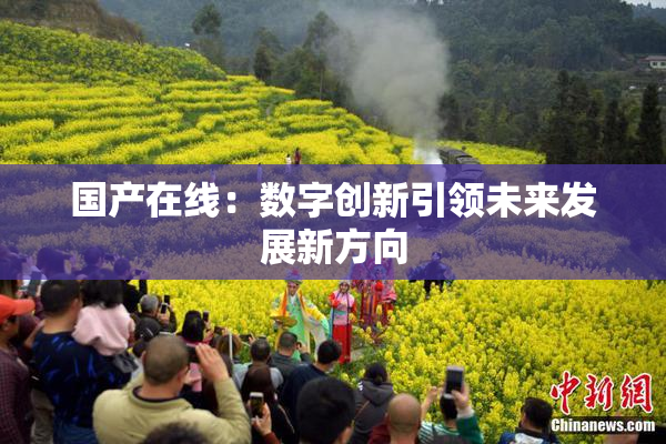 国产在线：数字创新引领未来发展新方向