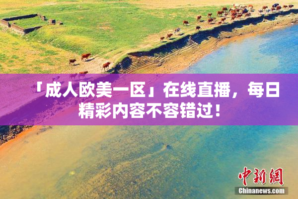 「成人欧美一区」在线直播，每日精彩内容不容错过！