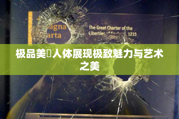 极品美軳人体展现极致魅力与艺术之美