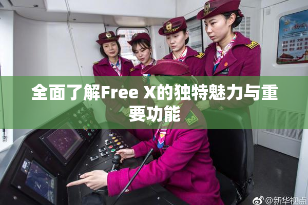 全面了解Free X的独特魅力与重要功能