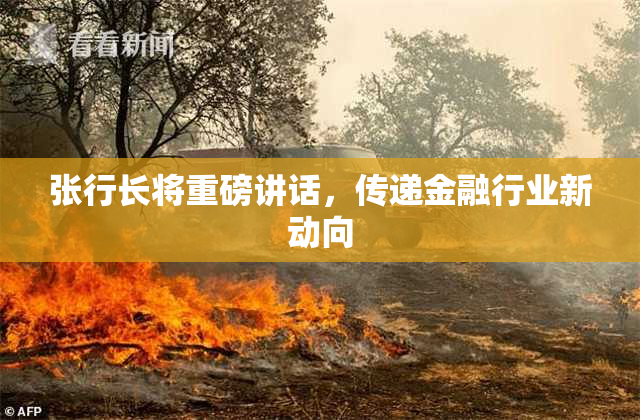 张行长将重磅讲话，传递金融行业新动向
