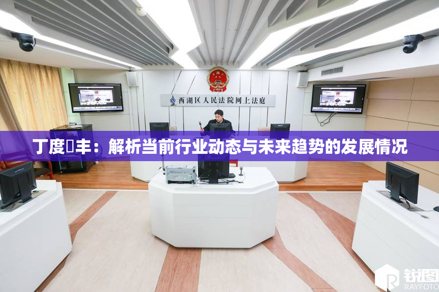 丁度巜丰：解析当前行业动态与未来趋势的发展情况