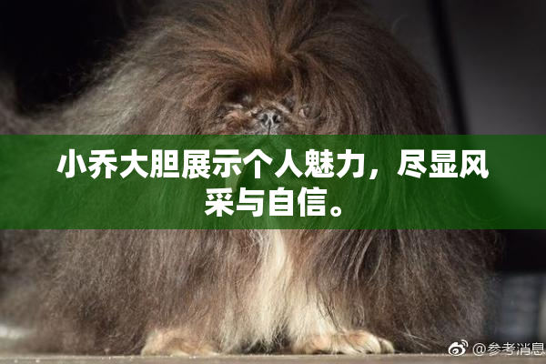 小乔大胆展示个人魅力，尽显风采与自信。
