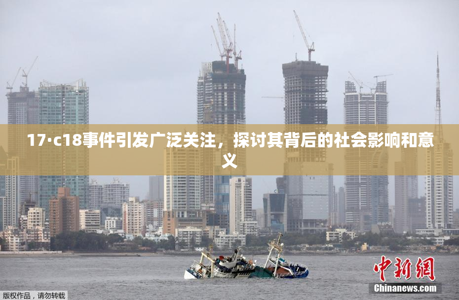 17·c18事件引发广泛关注，探讨其背后的社会影响和意义