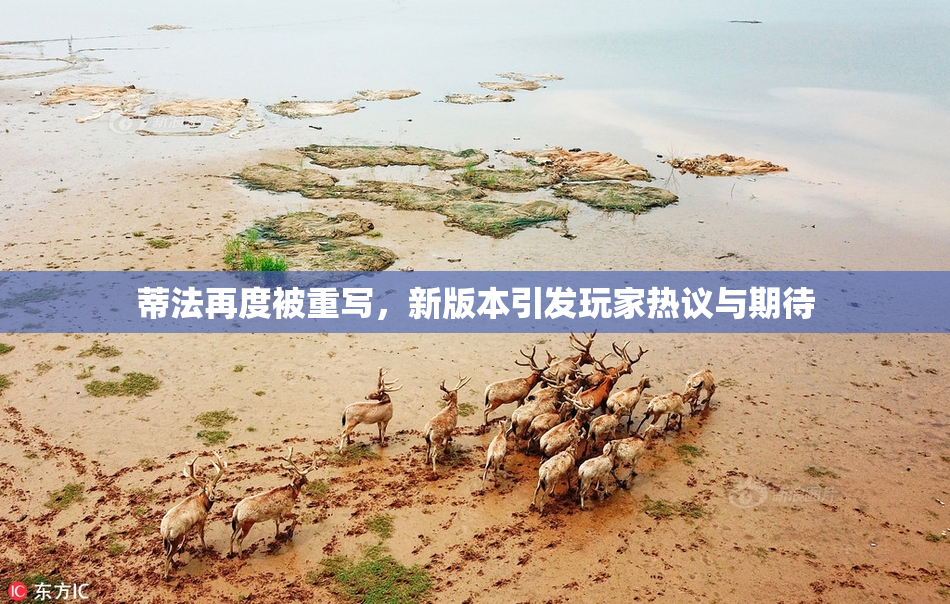 蒂法再度被重写，新版本引发玩家热议与期待