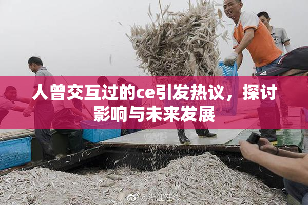 人曾交互过的ce引发热议，探讨影响与未来发展