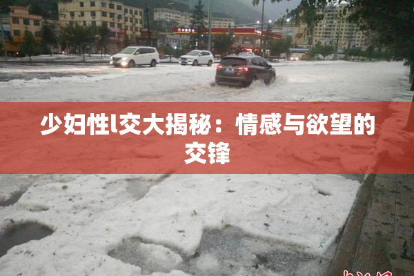 少妇性l交大揭秘：情感与欲望的交锋
