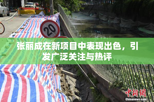 张丽成在新项目中表现出色，引发广泛关注与热评