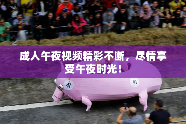 成人午夜视频精彩不断，尽情享受午夜时光！
