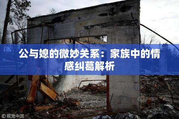 公与媳的微妙关系：家族中的情感纠葛解析