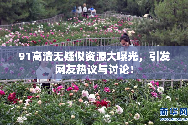 91高清无疑似资源大曝光，引发网友热议与讨论！