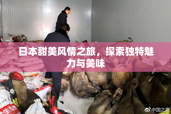 日本甜美风情之旅，探索独特魅力与美味