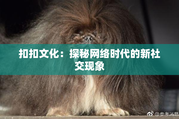 扣扣文化：探秘网络时代的新社交现象