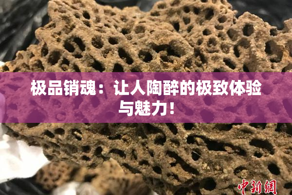 极品销魂：让人陶醉的极致体验与魅力！
