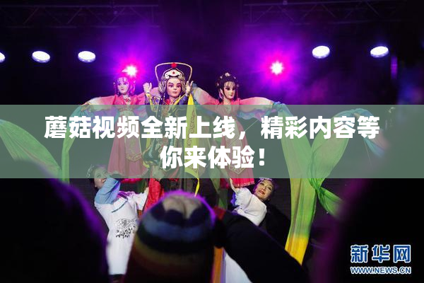 蘑菇视频全新上线，精彩内容等你来体验！